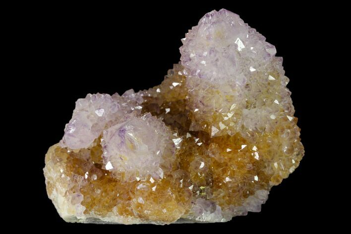 Cactus Quartz (Amethyst) Crystal Cluster - South Africa #137802